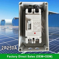 DC MCCB Box IP66 Boîte de distribution étanche de sécurité extérieure 250A 2P Boîte Mccb en plastique Boîtier moulé solaire Disjoncteur cc