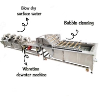 Industriële bubbelwasmachine voor groenteverwerkingsfabriek sla, kool, spinazie, wortel