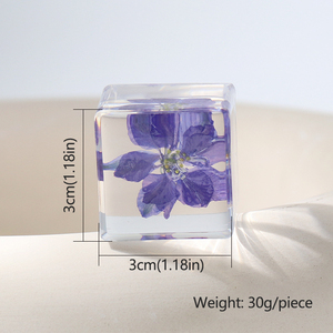 Fiore naturale in resina vera e propria collezione di esemplari floreali per bambini peso quadrato di carta cubo Art resina fermacarte fiore pressato - Product Image 2