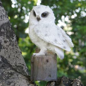 ขายส่งตกแต่งสวนที่สมจริงรูปปั้นนกฮูกเรซิ่น,กลางแจ้งสัตว์รูปปั้น Polyresin นกฮูกตกแต่งตุ๊กตา ^ - Product Image 2