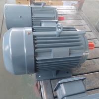 Moteur électrique asynchrone triphasé haute efficacité IE5 300W 220V 750W 60Hz, modèle YE5, enroulement 100% cuivre