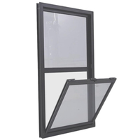 Puertas y Ventanas de Gran Tamaño Personalizadas de Plástico, Acero y Aleación de Aluminio, Ventanas Abatibles de Aluminio con Vidrio Templado