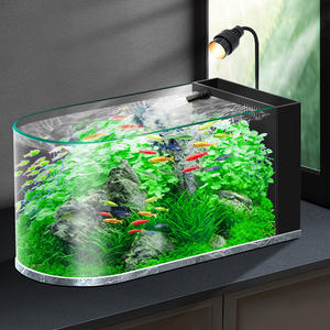 Nano Glazen Kogeldoos Zeevis <span class=keywords><strong>Aquarium</strong></span> Luxe Transparante Duurzame Kleine Tank Voor Woonkamer Slaapkamer Bureaublad - Product Image 4