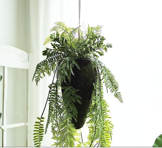 Grande palla di felce