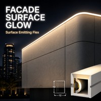 Bande lumineuse néon 120 LED/m multi-CCT, 12*12mm, émettant sur le côté, flexible, en silicone laiteux, IP65, DC12/24V, avec fixation complète par clip sur rail USB