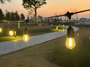 Guirnalda de <span class=keywords><strong>Luces</strong></span> LED E27 IP65 Impermeable para Patio, Jardín, Bodas, Campamentos, Decoración <span class=keywords><strong>Exterior</strong></span>, Bombilla S14, 10m 48 pies - Product Image 1