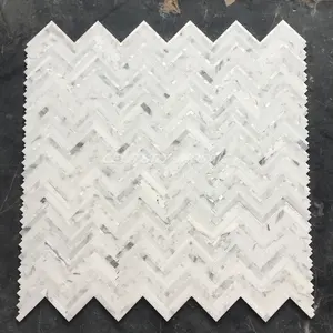 Calacatta Mármore Branco E Shell Espinha Backsplash Telha de Mosaico Branco