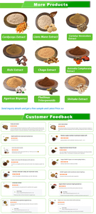 Kilfe số lượng lớn Hữu Cơ <span class=keywords><strong>hericium</strong></span> erinaceus chiết xuất bột sư tử bờm nấm chiết xuất - Product Image 5