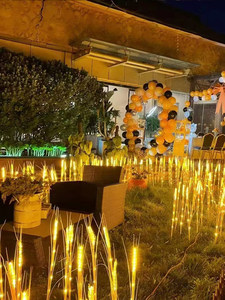 Luce LED a forma di <span class=keywords><strong>spiga</strong></span> di grano, <span class=keywords><strong>orzo</strong></span> e riso per esterni, ideale per Festival della Luce, Parchi, Piazze, Centri Commerciali, Aiuole e Decorazioni per Prati - Product Image 1