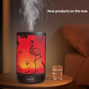 Xu hướng sản phẩm 2025 <span class=keywords><strong>New</strong></span> arrivals đà điểu rèn sắt diffuseur siêu âm mini humidificador bán buôn - Product Image 4
