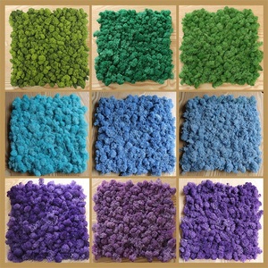 Pared <span class=keywords><strong>de</strong></span> <span class=keywords><strong>musgo</strong></span> real natural <span class=keywords><strong>para</strong></span> decoración <span class=keywords><strong>musgo</strong></span> <span class=keywords><strong>de</strong></span> poste estabilizado Bola <span class=keywords><strong>de</strong></span> <span class=keywords><strong>musgo</strong></span> verde preservada - Product Image 4