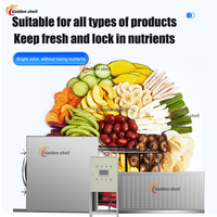 Commerciële vriesdroogmachine 5 m² PLC-pomp voor voedsel (bosbes, mango, ananas) nieuw, op maat gemaakt, multifunctioneel