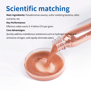 แบคทีเรียกำจัดกลิ่นและกำจัดซัลเฟอร์ BioPower400 สำหรับฟาร์มไก่ที่เป็นมิตรต่อสิ่งแวดล้อม ช่วยให้การกำจัดกลิ่นในน้ำเสียได้อย่างมีประสิทธิภาพ - Product Image 2