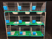 Nouvelle cage à lapins en fil de fer galvanisé en acier inoxydable à longue durée de vie, type H, 4 couches, résistante à la corrosion, garantie 1 an