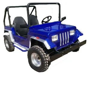 Fabrieksprijs 200cc Mini Jeep Benzine Golfkar 2wd 4wd Atv Volwassen Duin Buggy