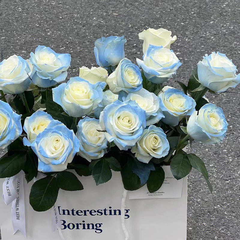 C-d grade selected crushed ice blue roses 20 stems [spray color]