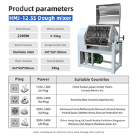 Pétrin à Pâte Entièrement Automatique Commercial 25 kg 50 kg pour Boulangerie et Moulin à Farine, Pétrisseuse de Cuisine Commerciale pour Pâte à Pizza