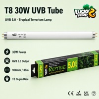 LuckyHerp T8 30W UVB5.0 Lampe UVB Spirale Classique en Verre pour Reptiles Écologique Intérieur Toutes Saisons 36in JX-FL8T3005