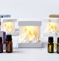 Lampe LED aromatique Wisteria OEM ODM personnalisée en forme de montagne, diffuseur à bâtonnets sans flamme, étiquette privée, logo, lumière parfumée en gypse, minimaliste