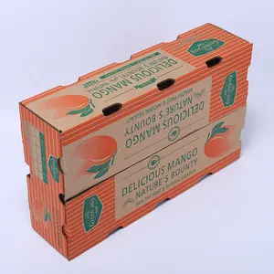 आम बॉक्स थोक avocado और आम शिपिंग पैकिंग बॉक्स आम बॉक्स डिजाइन
