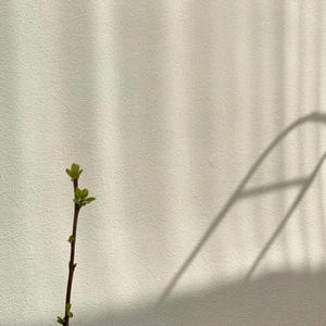 Mildew-Proof <strong>Anti-Algae</strong> Exterior Wall Paint Alkali-Resistant W60 Engineering Acrylic <strong>Coating</strong> for Outdoor Use Application Brush - Product Image 5