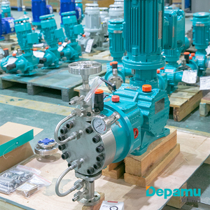 Pompe doseuse à membrane hydraulique DEPAMU API675 sans fuite de haute qualité DPMJSXAAD29-16W-III pour centrales électriques et l'industrie des plastiques DPMJSXAAD2 - Product Image 4