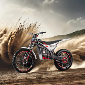 Moto cross électrique en gros de Chine, vitesse super rapide 90 km/h, motos tout-terrain électriques Arctic Leopard E <span class=keywords><strong>XT500</strong></span> - Product Image 4