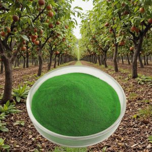 Poudre d'extrait d'algues vertes et <span class=keywords><strong>engrais</strong></span> efficace pour les nutriments et l'enracinement des plantes en flocons pour les cultures. - Product Image 4