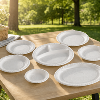 Assiettes jetables écologiques en plastique PP, logo personnalisé imprimé, sans BPA, robustes, recyclables, transparentes, pour service de traiteur et fêtes