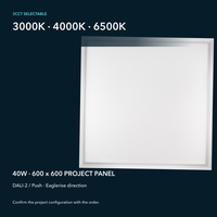 Panneau lumineux LED 3CCT 600x600 40W DALI-2 Push pour projets commerciaux de plafonds