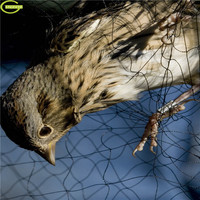 Meilleure vente de filet anti-brouillard pour oiseaux pour le piégeage des oiseaux