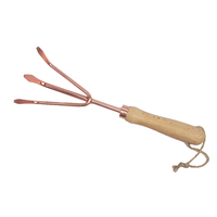 Set 2 pezzi Kit da giardinaggio Mini pala a mano in metallo e rastrello con manico in legno attrezzi da giardino in oro rosa