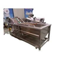 Aloë Vera Sla Druif Cactusvijg Ananas Bosbessen Draak Fruit Wasmachine Voor Snacks Schoon Avocado