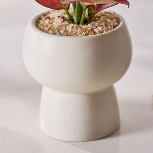 Nueva llegada: <span class=keywords><strong>Maceta</strong></span> de cerámica beige con diseño nórdico de Bisque Garden, en forma de trofeo, para el hogar y el jardín. - Product Image 3