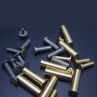 Poids de bouchon de pointe de golf en aluminium en laiton de tungstène. 335 .355 .370 pointe arbre en acier poids de putter de golf accessoires de club de golf clou de cuivre