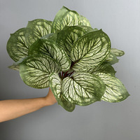 Plantes, feuilles de taro, feuilles de pomme, feuilles d'eucalyptus, vert de Thanksgiving, aménagement paysager intérieur et extérieur, décoration de la maison, fleurs