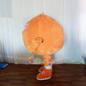 1 шт., профессиональный костюм-Талисман из кокосового фрукта - Product Image 2