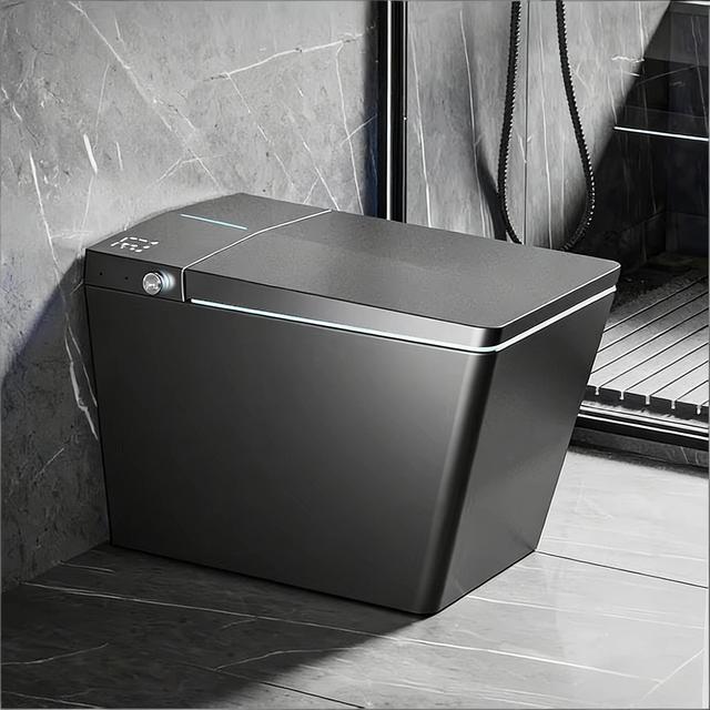 Modern High-end Bathroom Sanitary Wares square Shape Creamic Black Smart Toilet with Female Washing