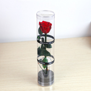 Caja de Regalo Decorativa con Flores Reales al por Mayor, Adorno para el Día de San Valentín o el Día de la Madre, Cilindro de PVC de 4-5 cm con Tallo de Rosa Preservada Individual - Product Image 2