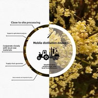 Extrait végétal pur, huile essentielle naturelle de Litsea Cubeba pour l'aromathérapie, la fabrication de parfums, les savons, les bougies parfumées, les diffuseurs de parfum