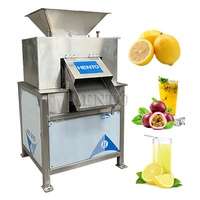 Grote Capaciteit Pers Sinaasappelpers Machine/Passievruchtensap Machine/Citroenpers