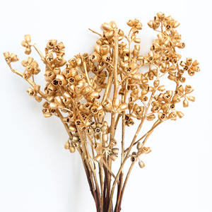 סדרת זהב פרי זומבי פרי אקליפטוס צבוע זהוב פירות דוחן שירלי פופי משומר פרחי זהב מיובשים - Product Image 5