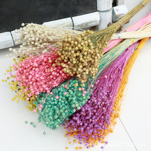 Venta al por Mayor de Flores Secas de Alta Calidad, Ramo de Cuentas Secas de Jequirity, Decoración con Flores Secas a Granel - Product Image 1
