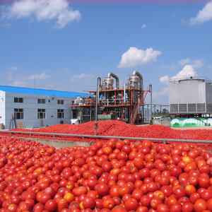 Tự động nước sốt cà chua dán Ketchup Thiết bị dây chuyền sản xuất với dịch vụ chuyên nghiệp - Product Image 1