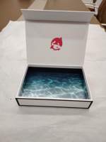 Boîte rigide de qualité supérieure avec couvercle et base, impression dorée à chaud, gaufrage, emballage pour boîte cadeau avec insert en plastique