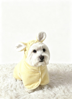 Peignoir pour animaux de compagnie en microfibre douce, serviette de bain pour chien à séchage rapide, peignoir absorbant pour chiens et chats de petite et moyenne taille