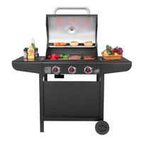 Barbecue de jardin extérieur au gaz avec revêtement en émail de porcelaine, alimentation au GPL, construction en acier inoxydable, roues en PE, hauteur réglable, flamme