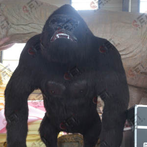 Chimpancé Animatronic de alta calidad de animales artificiales hechos a mano de tamaño real para Parque de Atracciones zoológico Museo de la naturaleza - Product Image 4