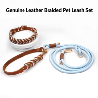 Ensemble collier et laisse pour chien, tressé à la main, réglable, colliers pour animaux de compagnie durables, laisses pour chiens avec anneau en D pour chiens de petite, moyenne et grande taille