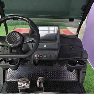 Хит продаж, комплект для преобразования двигателя, тележка для гольфа с литиевым аккумулятором, электрическая тележка для гольфа, 2-местная - Product Image 2